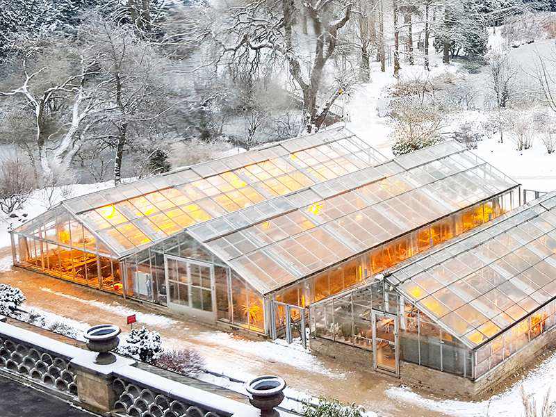 Greenhouse plastic sheet